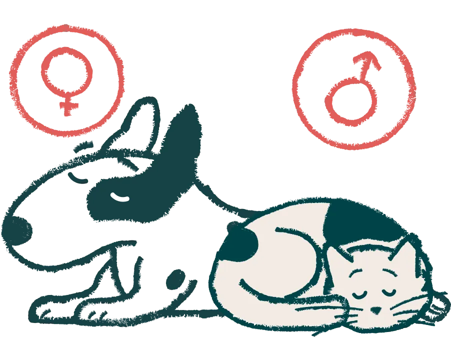 Spay & Neuter Surgery for Dogs and Cats in Denver, CO